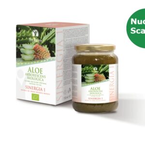 ALOE ARBORESCENS Ricetta di Padre Romano Zago