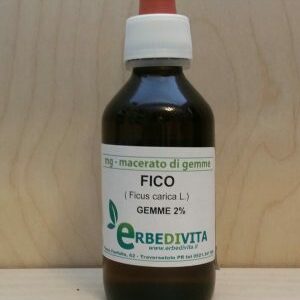 Ficus Carica  MG gemmoterapico