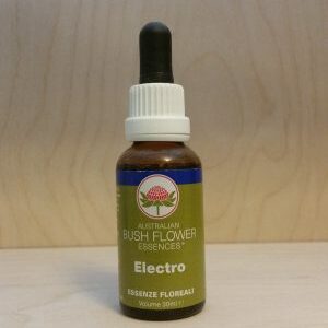 ELECTRO Australian Bush Flowers