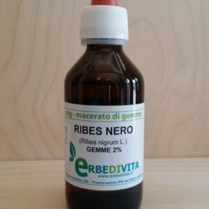 RIBES NIGRUM gemmoderivato